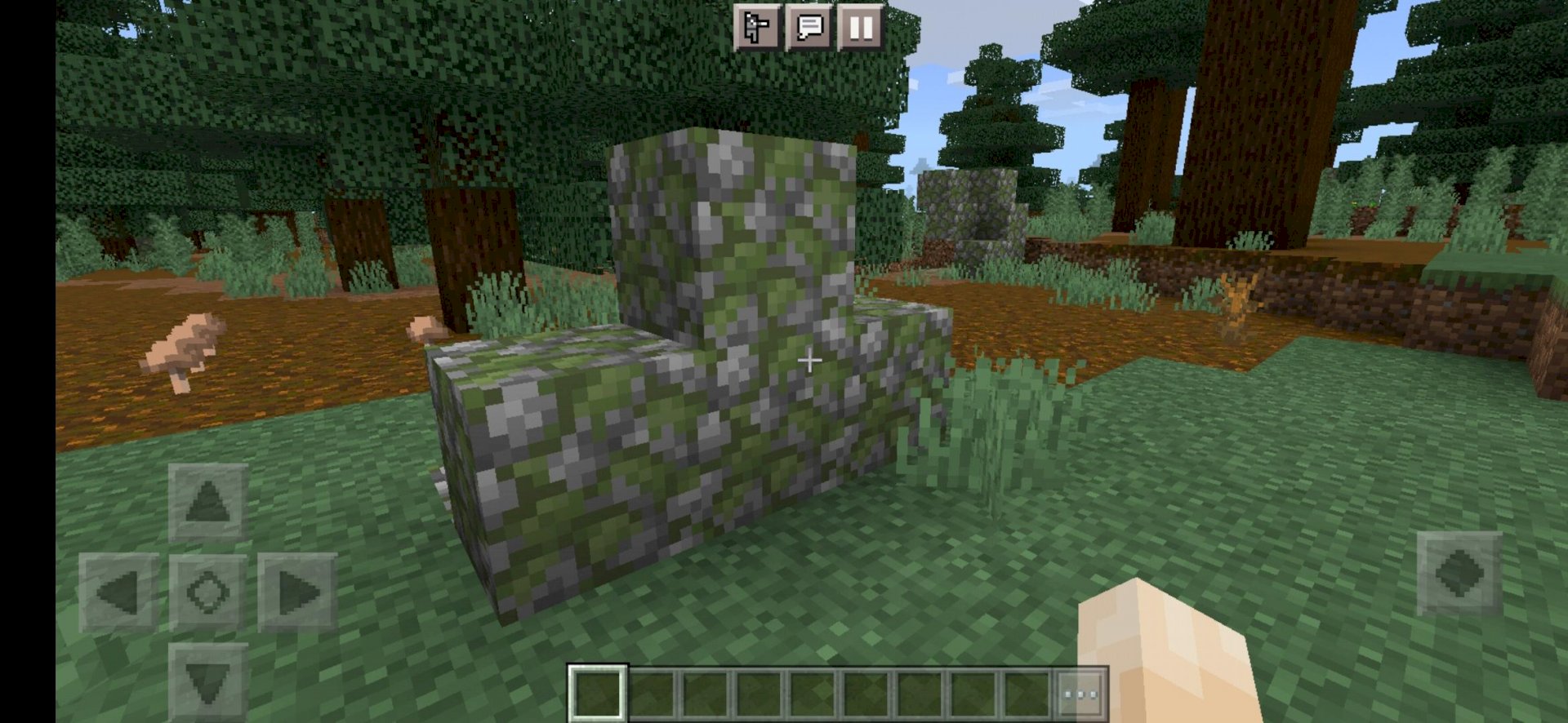 What is this minecraft