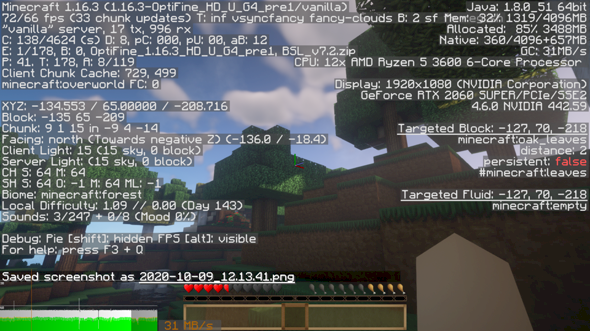 Minecraft has mini lag every 10 seconds despite 1000 euro PC