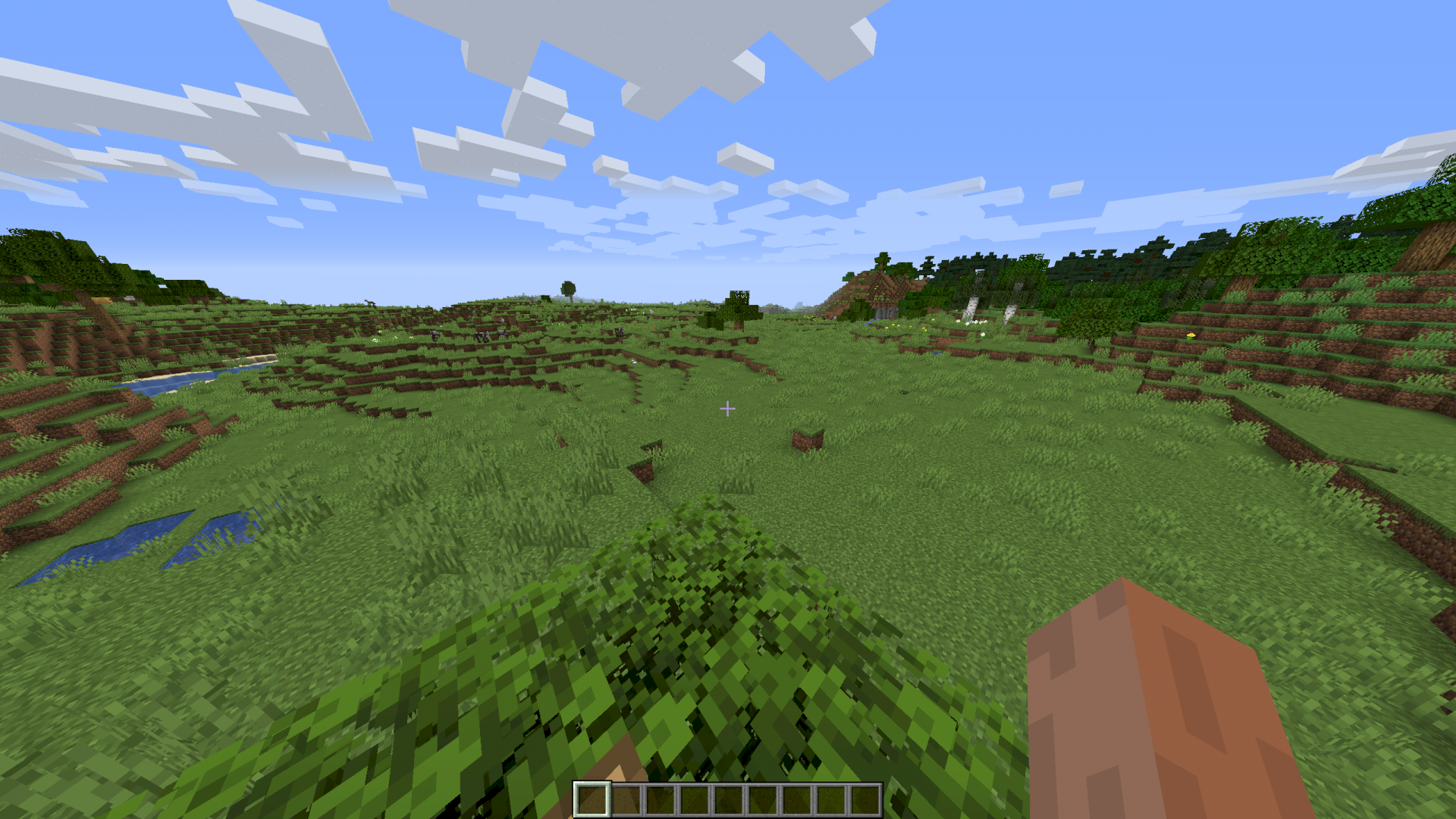 Minecraft graphics bug