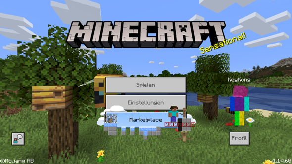 Select Minecraft multiplayer