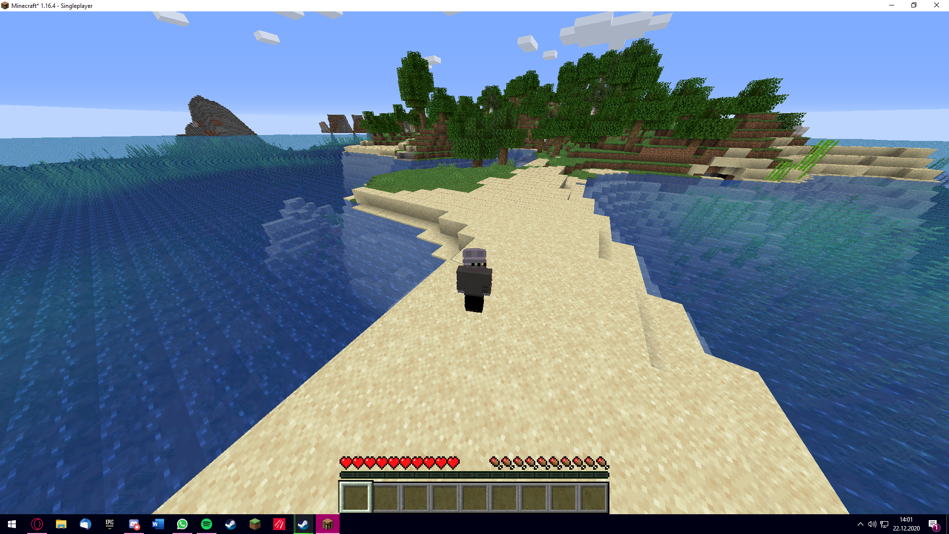 Minecraft block bug 1.16.4