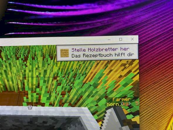 Remove Minecraft instruction