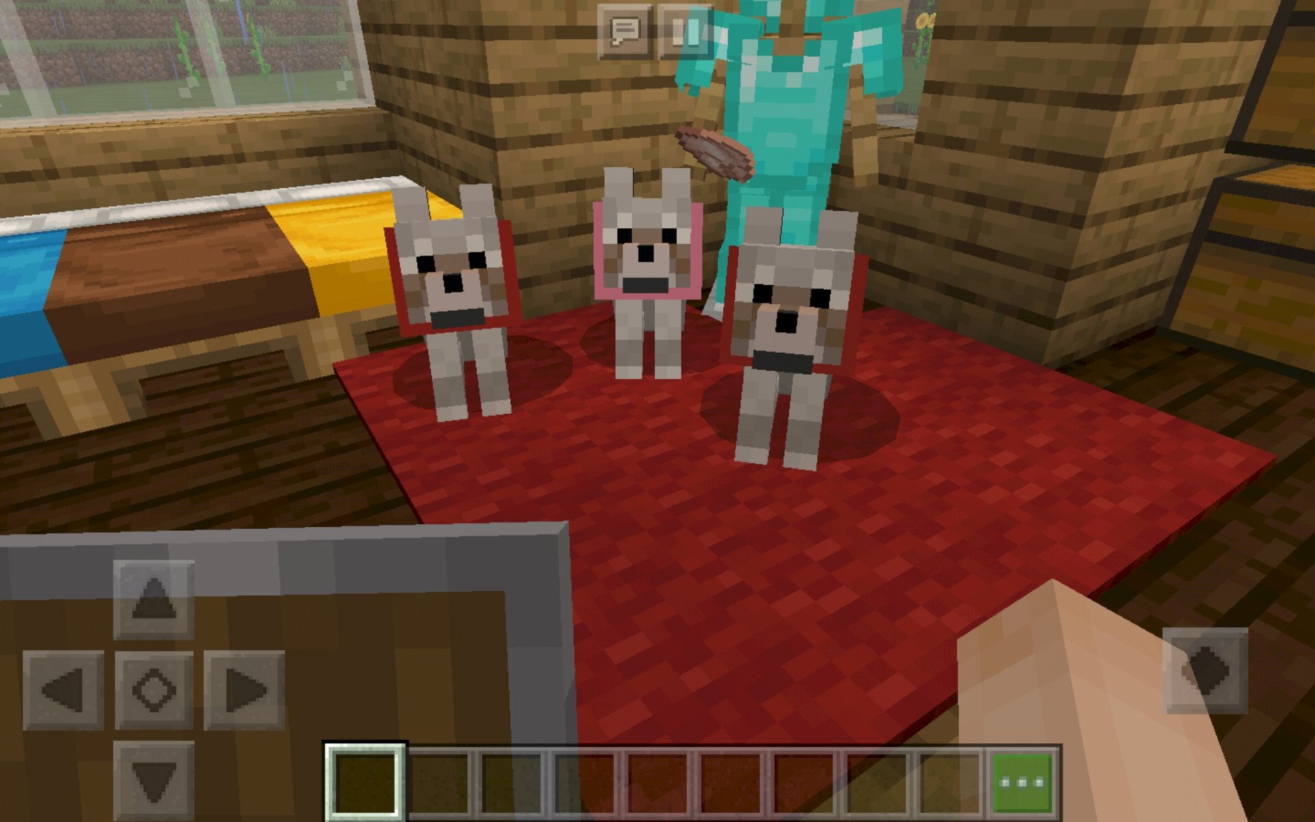 Minecraft Dogs Different Collars