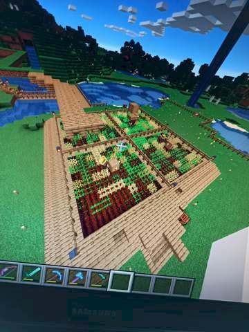 Minecraft - wheat farm not working