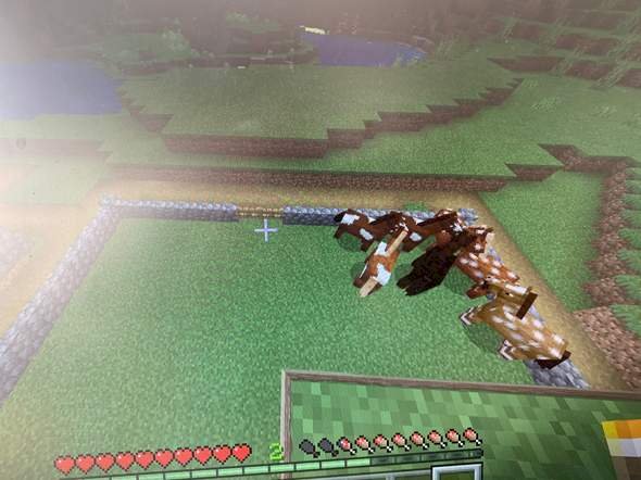 Minecraft all animals in one place
