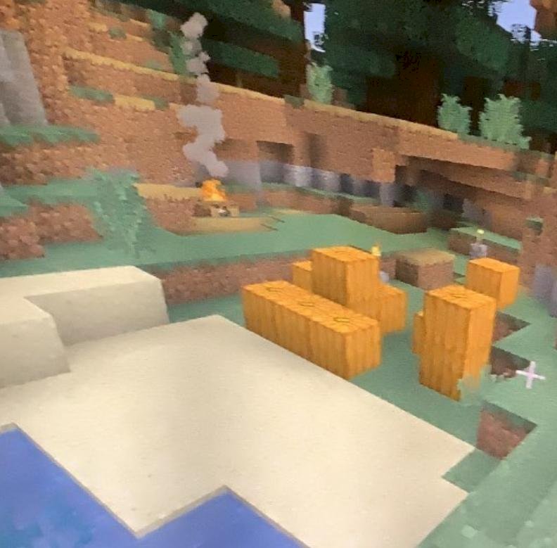 Is that a Minecraft village - 3