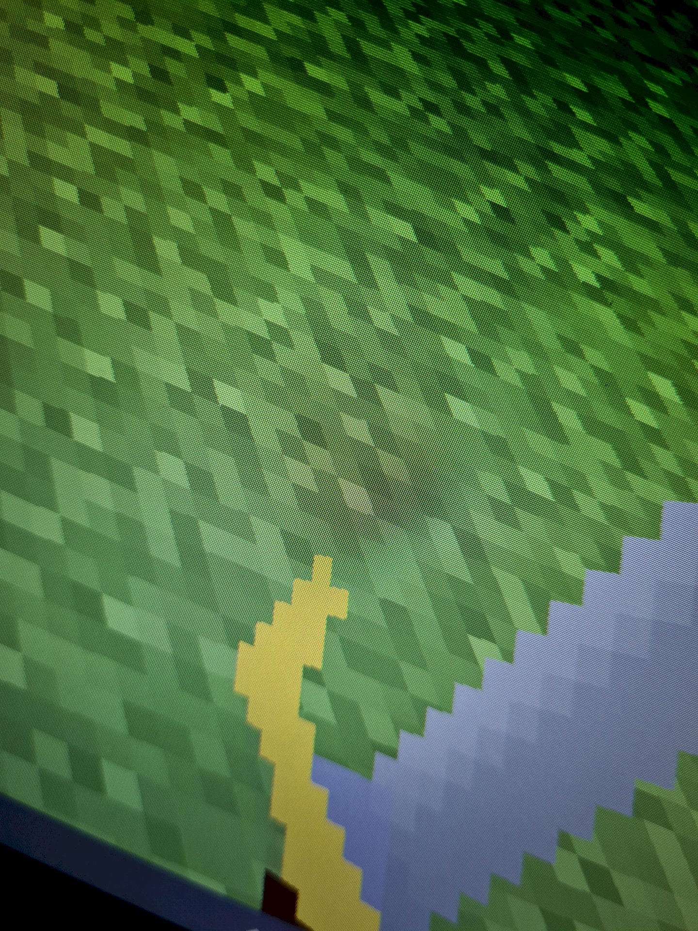 Minecraft texture bug